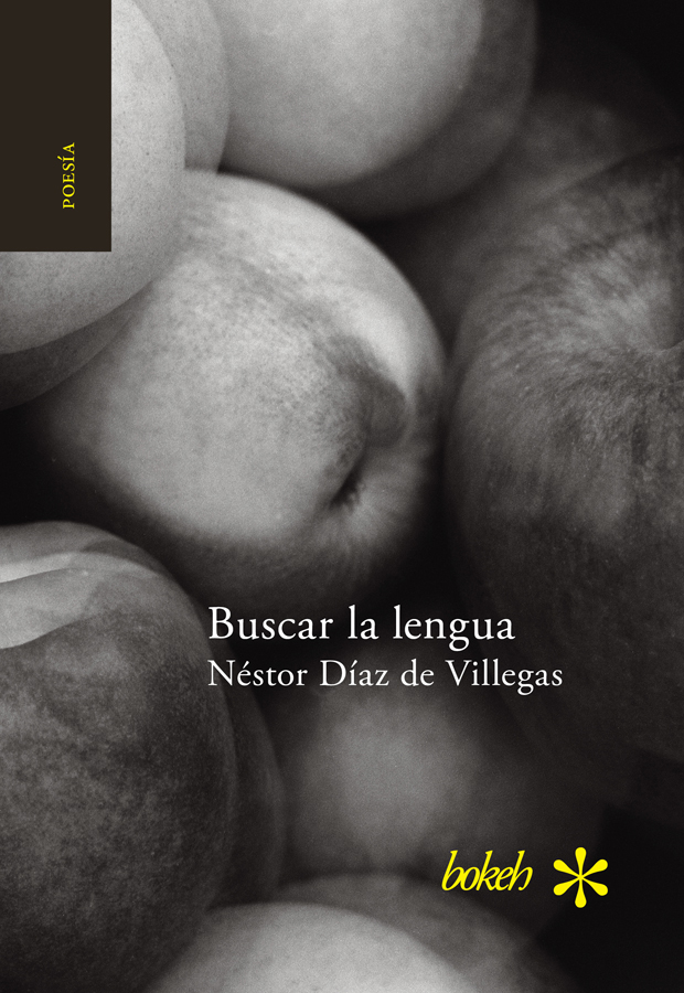 BuscarlalenguaNDDV