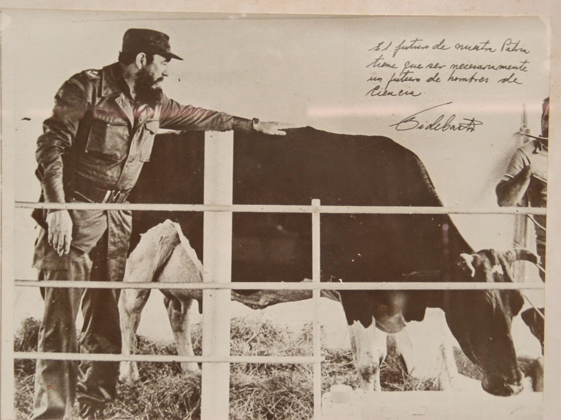 FIDEL Y UBRE BLANCA 1