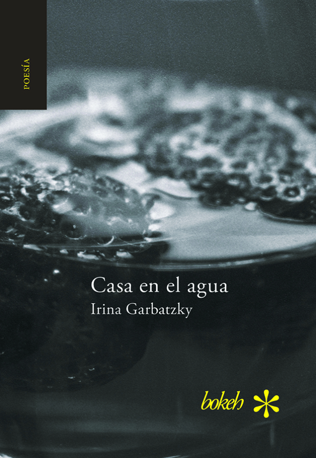 casaenelaguaig